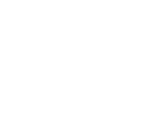 Vane Logo